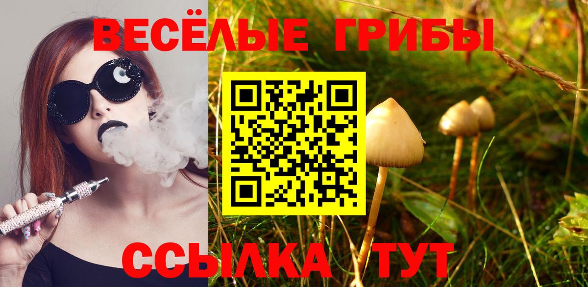 Псилоцибиновые грибы прущие грибы  Галлюциногенные грибы ЛСД  Элиста  Вход с VPN 