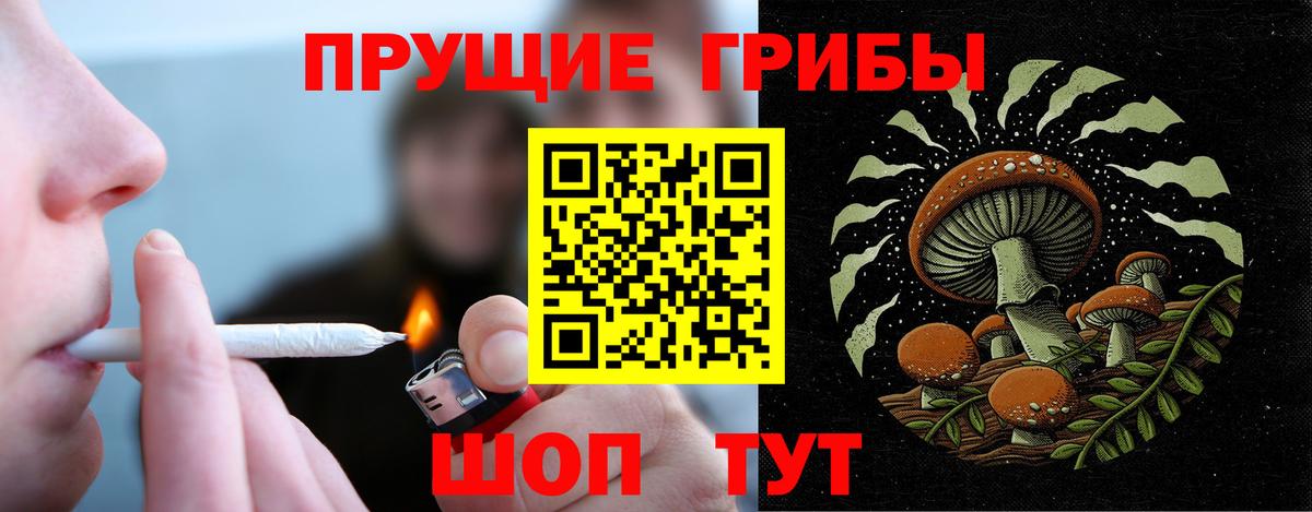 Галлюциногенные грибы мицелий Элиста
