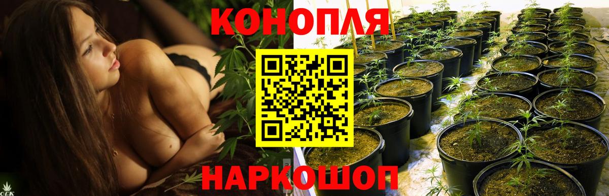 Элиста  Бошки марихуана THC 21%  Конопля планчик  Вход с VPN  Бошки Шишки AK-47 